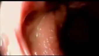 Hardcore Anal And Vaginal Penetration With Fap-Worthy Results